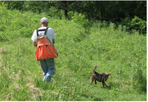 The checkcord is an important training aid.