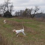 The Case for Chase